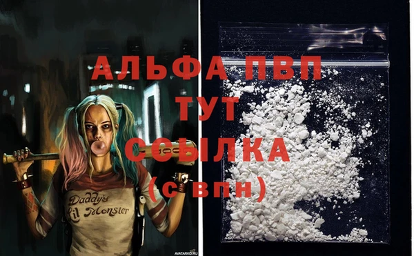 сатива Алексеевка