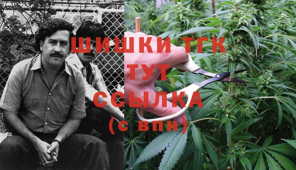 эйфоретик Абаза